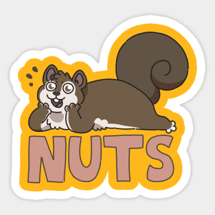 Nuts Squirrel Sticker